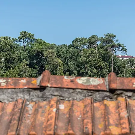 Apartment Guestready - Orange Roofs